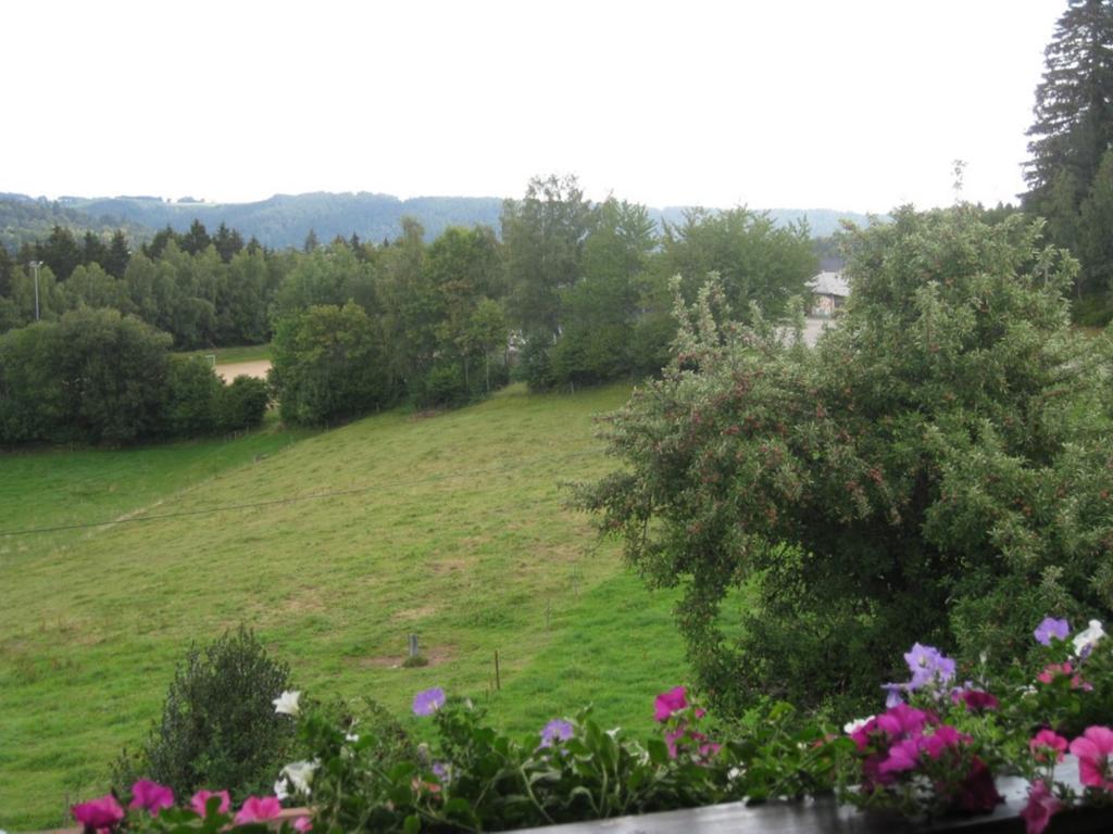 Haus Am Kreuzbuehl Apartment Dachsberg im Schwarzwald Exterior photo