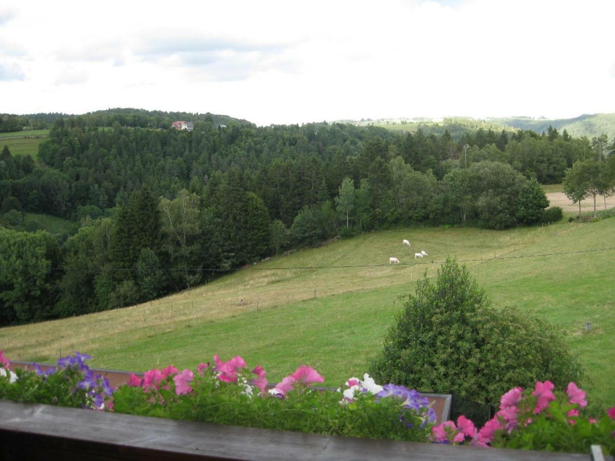 Haus Am Kreuzbuehl Apartment Dachsberg im Schwarzwald Exterior photo